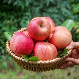 แอปเปิ้ล