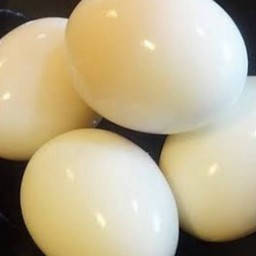 (79)ไข่ต้ม 1 ใบ
