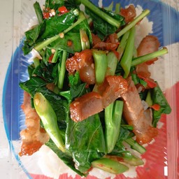 ผัดคะน้า
