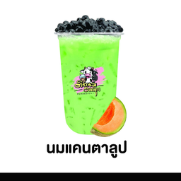 นมแคนตาลูป