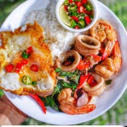 ร้านแมวเหมียว