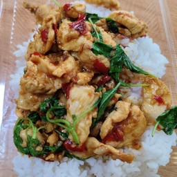 ผัดโหระพาไก่ราดข้าว