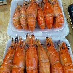 กุ้งเผาครึ่งกิโล