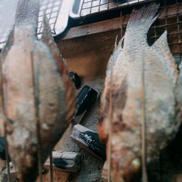 ปลานิลเผาจัมโบ้