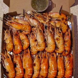กุ้งเผา 1 กิโล