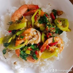 ราดข้าว/ผัดกระเพรากุ้ง