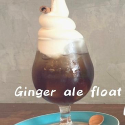 Ginger Ale Float