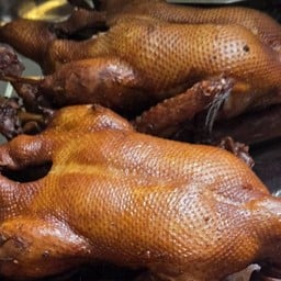 โกบอย เป็ดพะโล้ - อาหารตามสั่ง สาขา 2