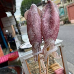 ร้าน หรอยแรง!! หมึกย่าง...ลูกชิ้นปิ้ง