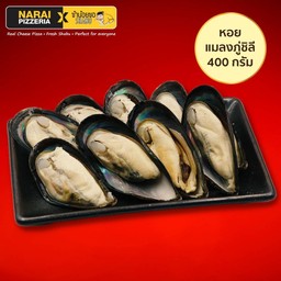 หอยแมลงภู่ชิลี Chilean Mussel