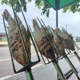 ปลาเผาผักสด