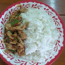 ข้าว.กะเพราหมูชิ้นพระสมุทร