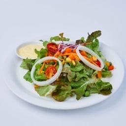 สลัดผักไฮโดร