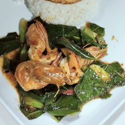 ผัดคะน้ากุ้งราดข้าว