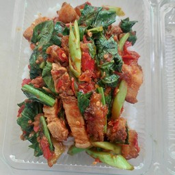 ข้าวราดผัดคะน้า