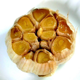 กระเทียมกงฟี