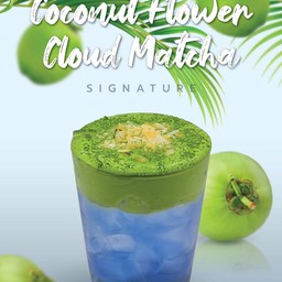 Coconut Flower Cloud Matcha