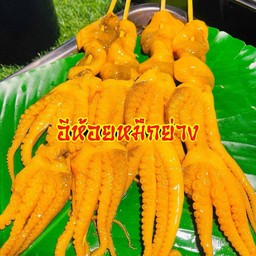 หนวดหมึกสายย่าง