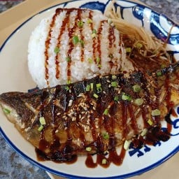 ข้าวญี่ปุ่น x สุกี้โบราณ แซลม่อนดอง ดงบุริ by 2นางฟ้า ตลาดวันโอวัน เอกชัย 101