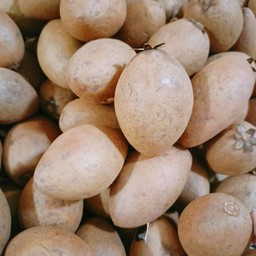 ละมุดปั่นไม่ใส่นม