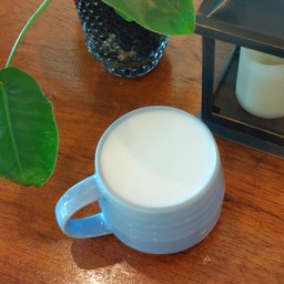 นมสดร้อน