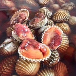 หอยแครงดอง