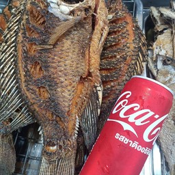 [อร่อยซ่ากับโค้ก] เซตสุดฮิต ปลาดุกทอดกรอบ+ผัดกระเพราเครื่องในไก่หน่อไม้ + โค้ก ออริจินัล (กระป๋อง)