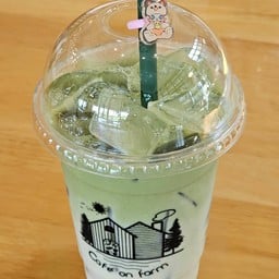 Iced Matcha latte