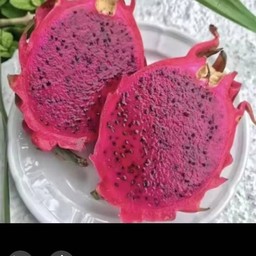 แก้วมังกรสีแดงสมูทตี้โยเกิร์ต