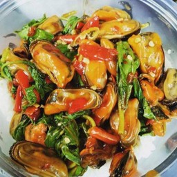 กระเพราหอยแมลงภู่