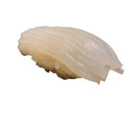 ซูชิ หมึกอิกะ