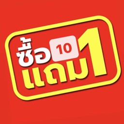 เซท คางหมึก 10 ไม้ แถมฟรี 1 ไม้