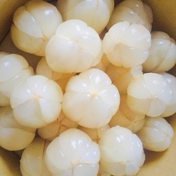 ลองกอง