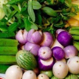 ผักสดปริมาณ250กรัม