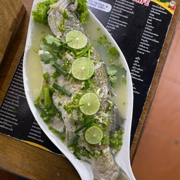 ปลากะพงนึ่งมะนาว1