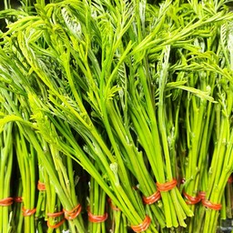 เพิ่มกระถิน 4 มัด