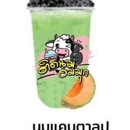 นมแคนตาลูป