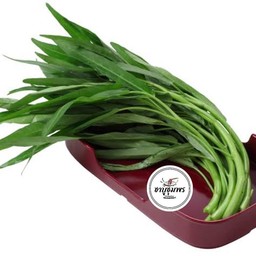 ผักบุ้งจีน