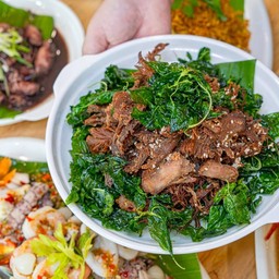 เป็ดร่อน