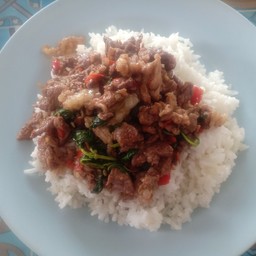 ร้านแม่พลอยอาหารตามสั่ง นำไทย