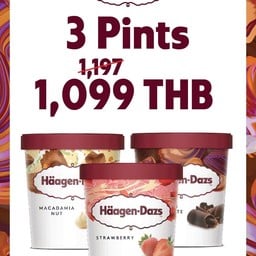 Pro 3 Pint 1,099 THB