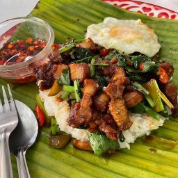 กะเพราถาดสามออ