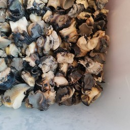 เพิ่มหอยเชอรี่