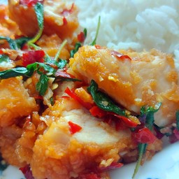 ข้าวไก่กรอบราดซอสกะเพรา