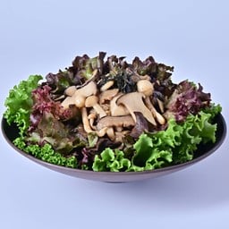 สลัดเห็ดรวมผัดเนย(SL06)