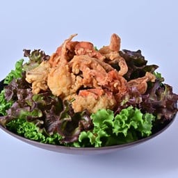 สลัดปูนิ่ม(SL03)