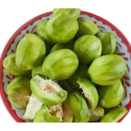 มะกอกน้ำ