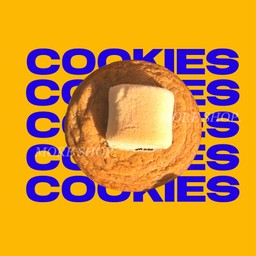 คุ๊กกี้ช็อกโกแลตมาร์ชแมลโลว์!!!Cookie