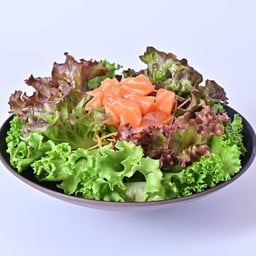 สลัดแซลมอน (SL02)
