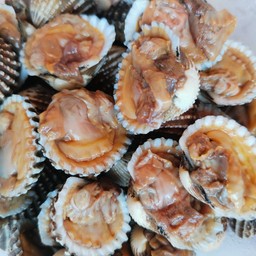 เพิ่มหอยแครง